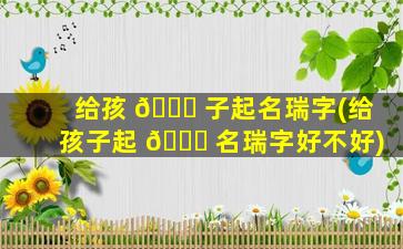 给孩 💐 子起名瑞字(给孩子起 🐈 名瑞字好不好)